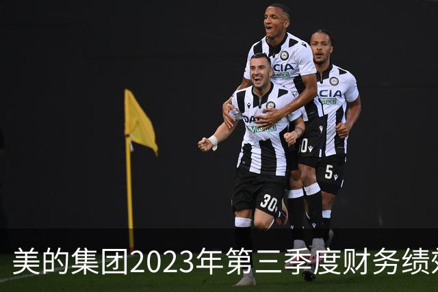 美的集团2023年第三季度财务绩效分析